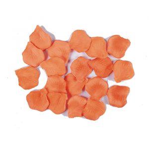 100 Petali Lux  in Vellutino Salmone